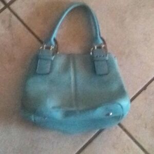 Blue purse